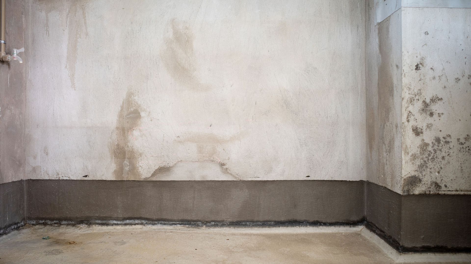 Mould in houses causes, prevention and solutions Homebuilding