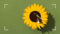 Illustration of woman watering a large sunflower with a can, representing self-care and how to be confident again