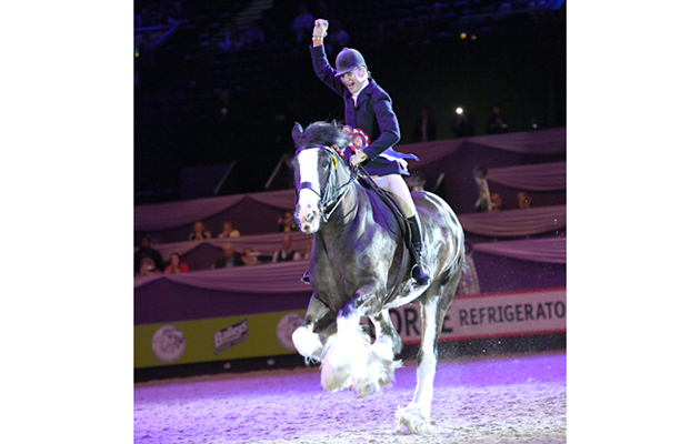 HOYS 04 10 2018