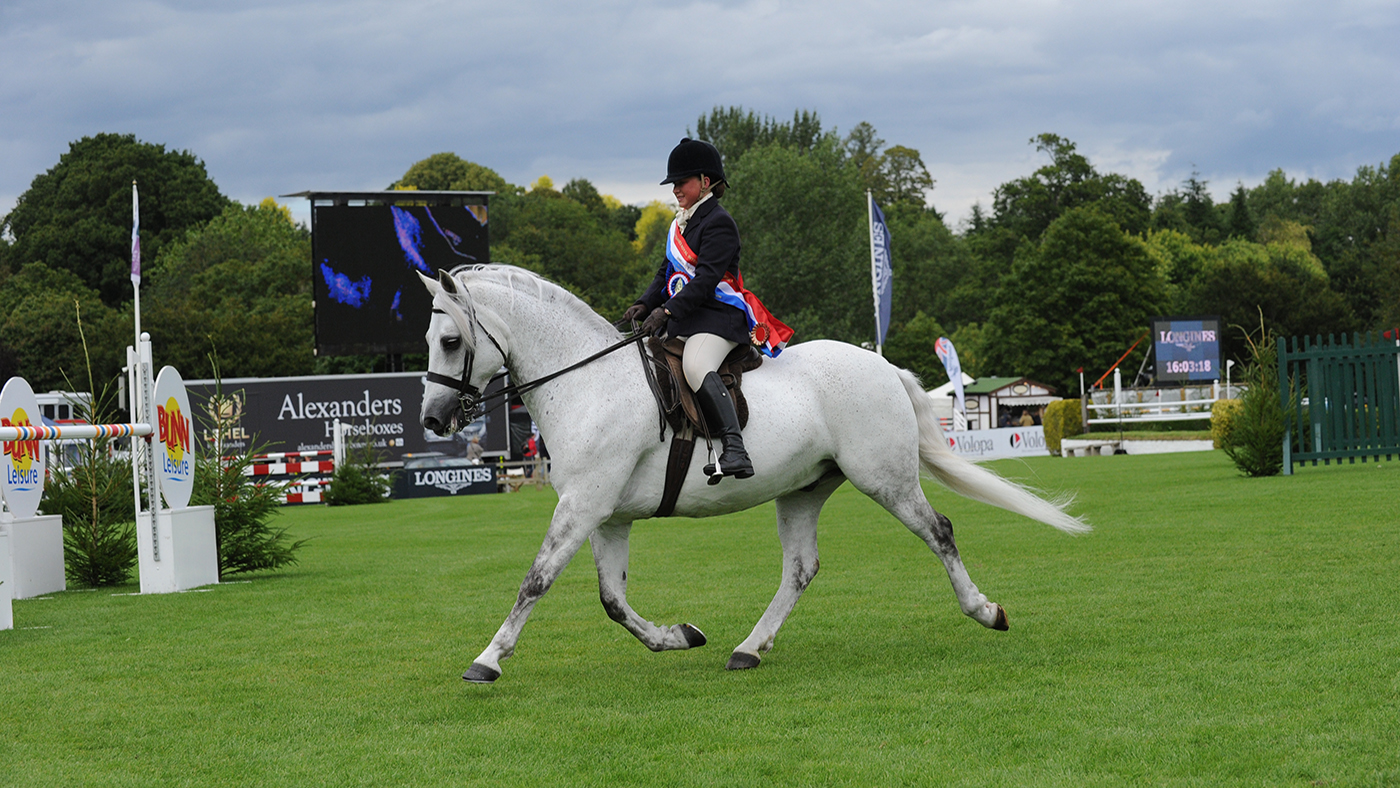 Walstead Page Boy winning the Royal International M&amp;amp;M young rider supreme with Terri Gregson in 2015