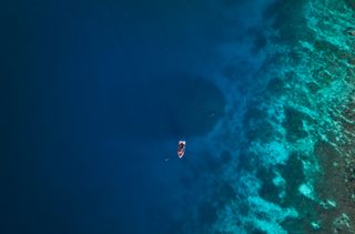 An aerial image of the large coral.