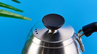 hario v60 buono gooseneck kettle, a stainless steel kettle with electric base, handle, and gooseneck spout, for specialty coffee