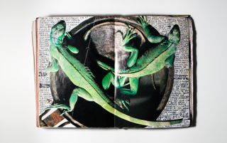 a page in the book opened with lizards