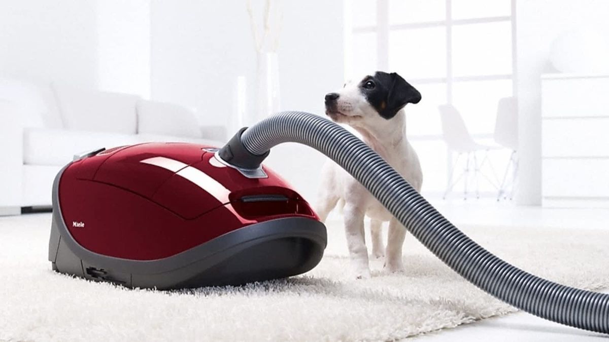 Best vacuum for pet hair 2022 | Real Homes