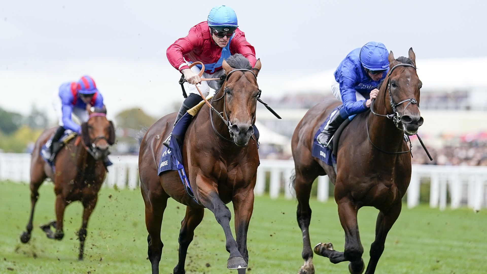 Royal Ascot live stream 2023 watch free online, Gold Cup, royal