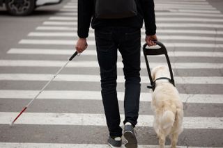 Visually impaired man walking with cane and dog