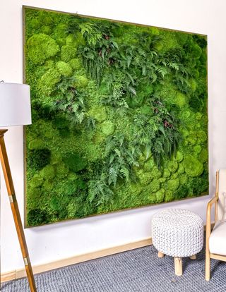 Oversized Preserved Living Wall 68