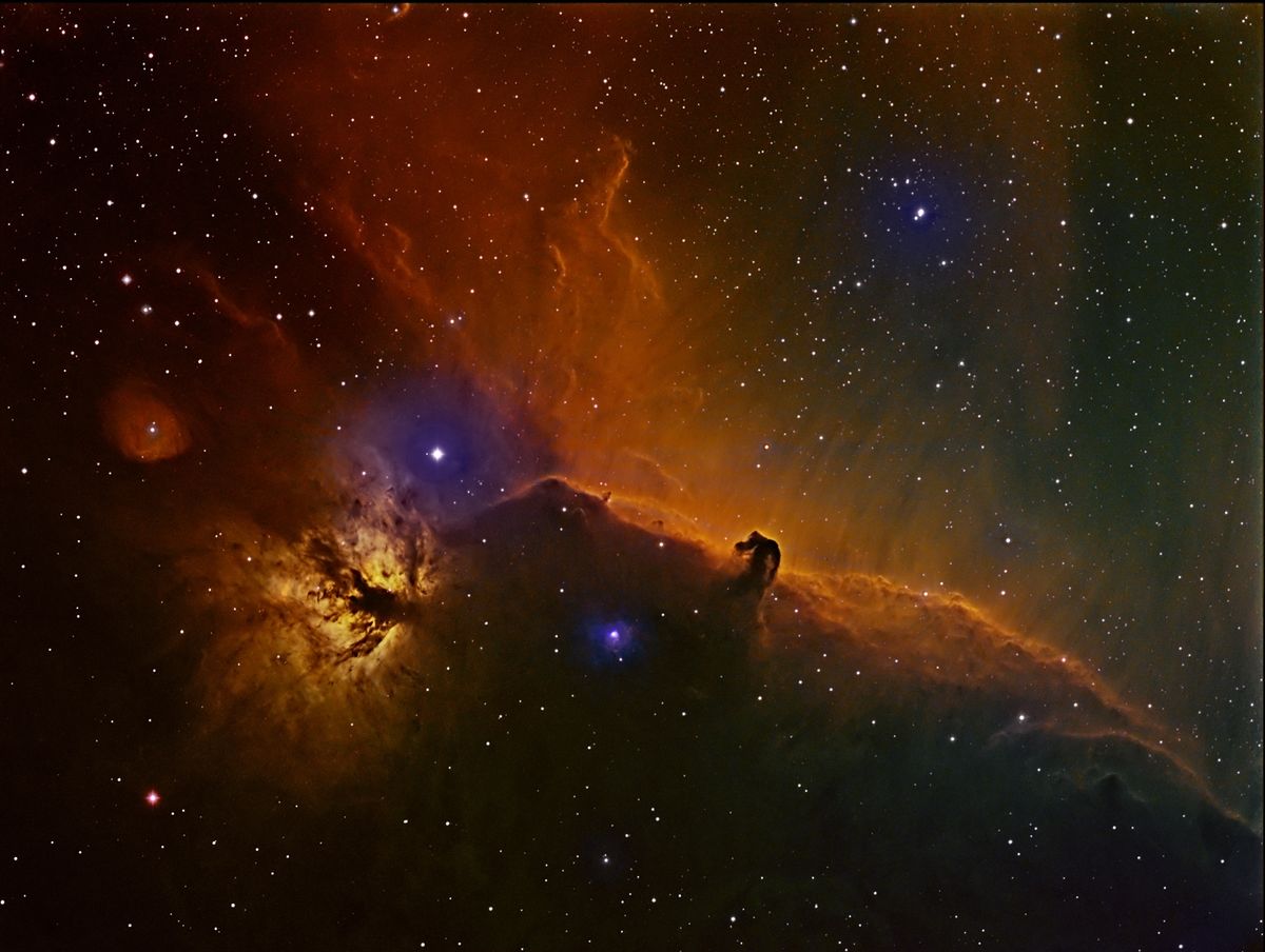 Horsehead and Flame Nebulae by David Ellison 