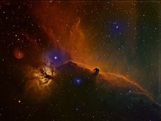 Horsehead and Flame Nebulae by David Ellison 