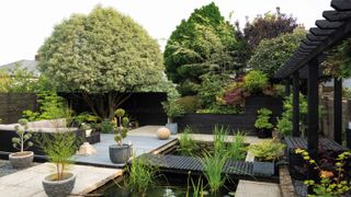 Garden with pagoda and water surrounded by plants and decking