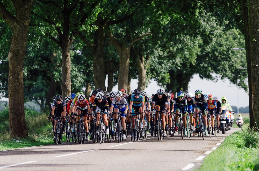 The peloton in action during stage 5.