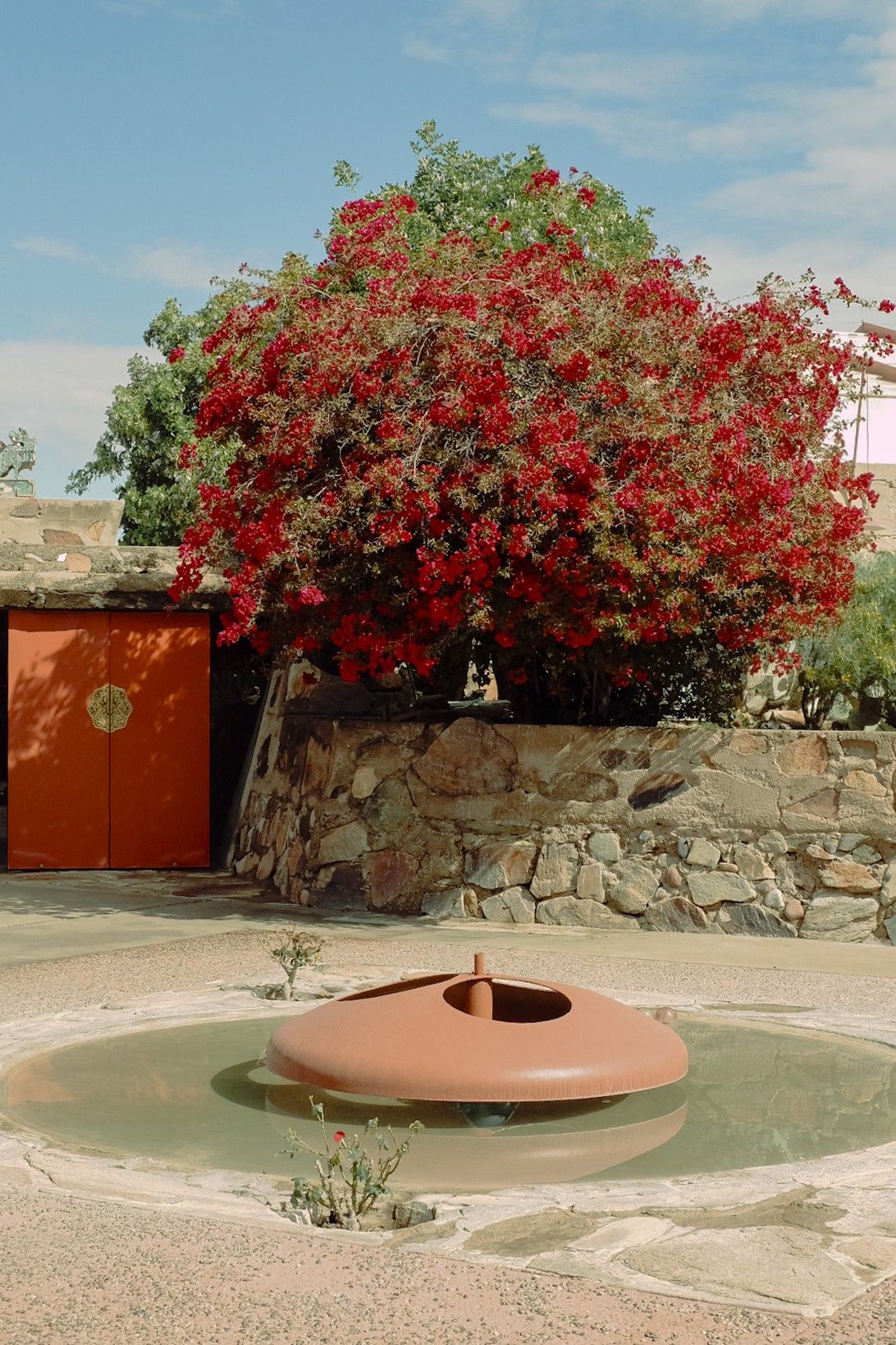 A modernist home immersed in the golden greenery of a desert features wood and textile ceilings in beige, carpeted floors in the same color, and geometrical furniture in tones of blue, acid green, bordeaux, and earthy browns.