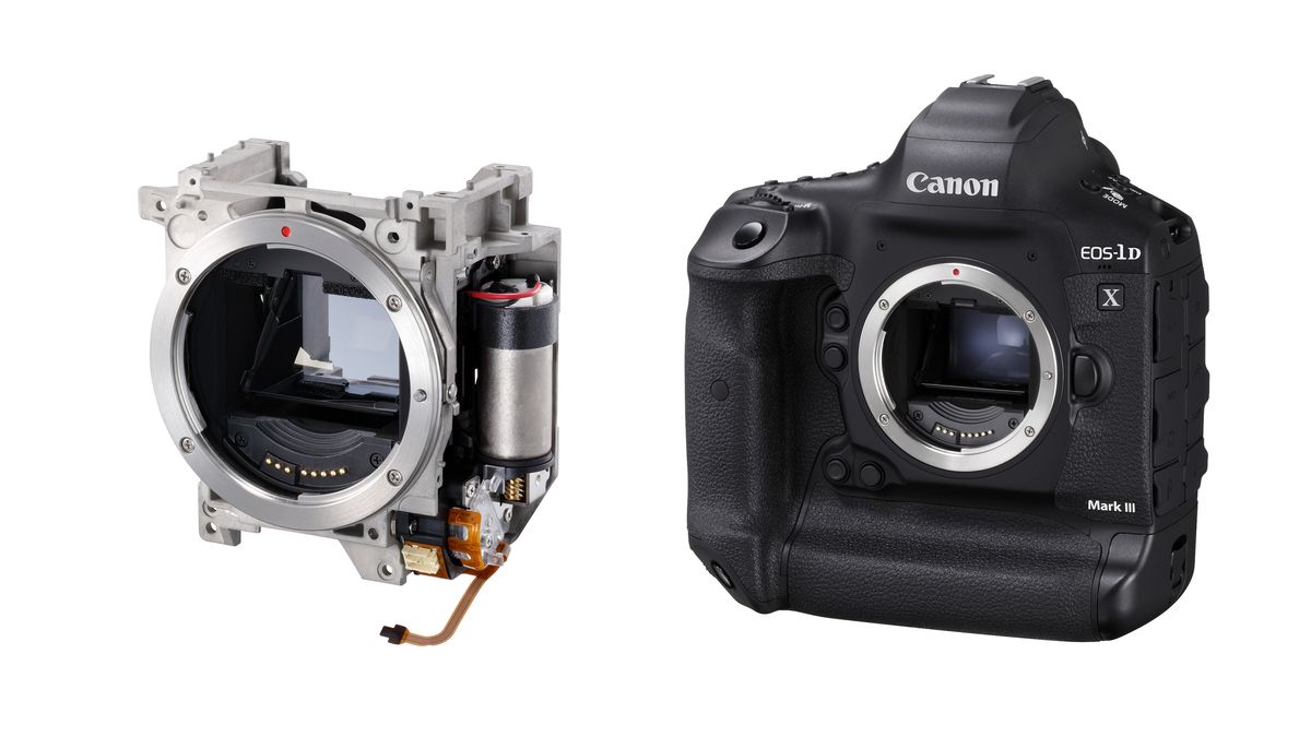 Canon School: Set up your Canon EOS camera for silent shooting