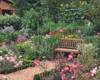 Rose garden with bench showing a mix of companion planting