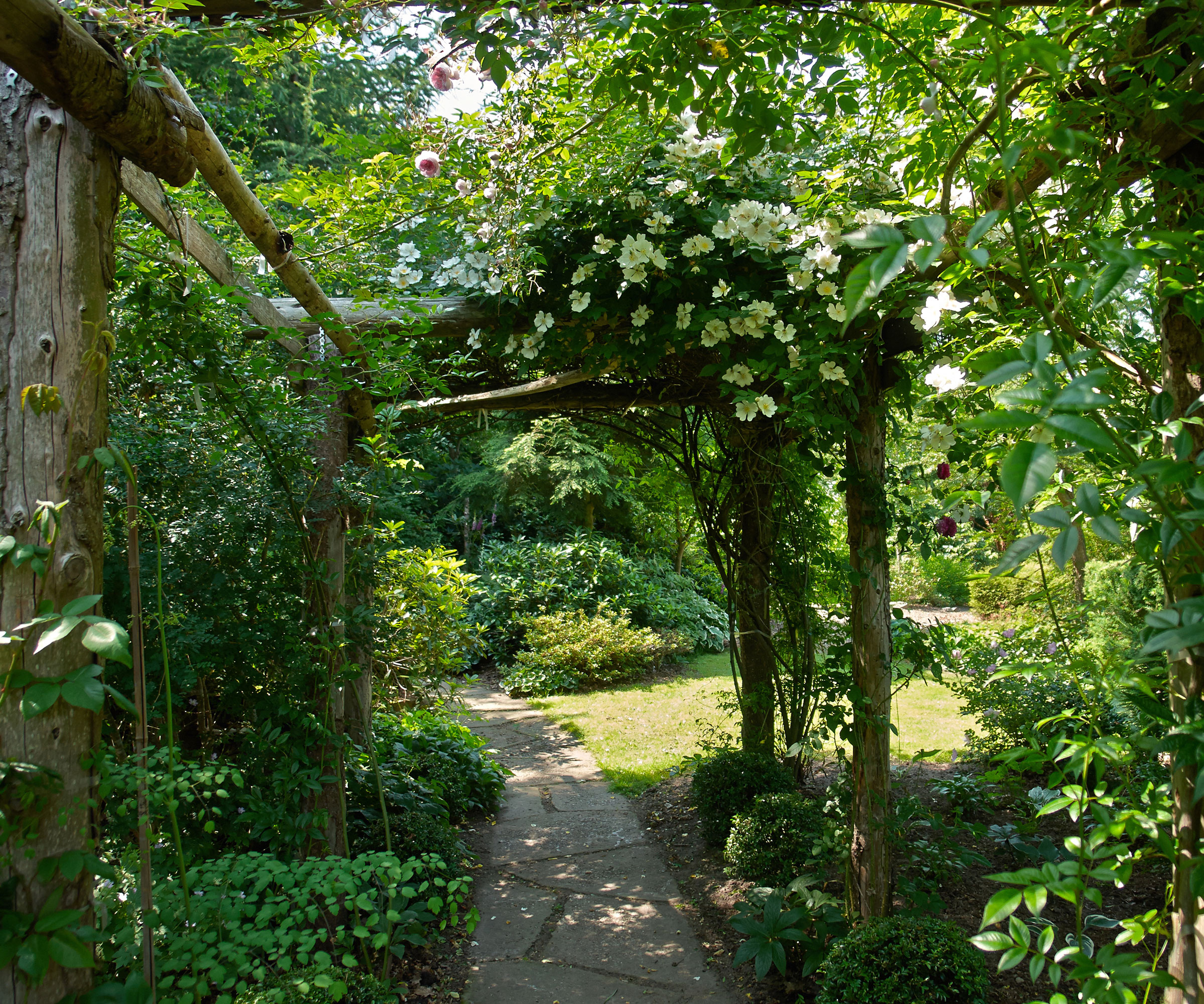 arbor in garden filled with plants