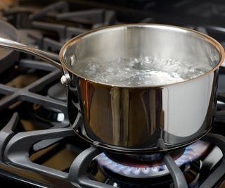 Stainless steel pan with water on a gas stove
