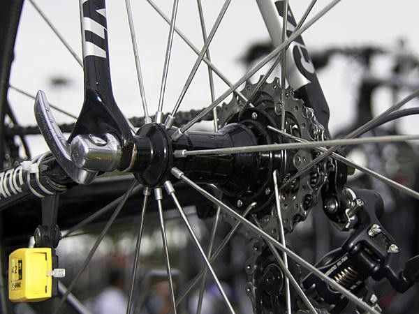 There were no decals on Burghardt's wheels