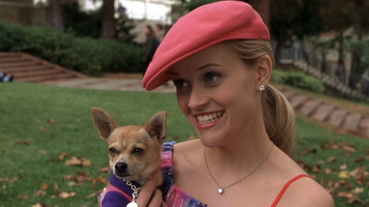 Elle smiling with her dog Bruiser in Legally Blonde