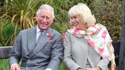 Queen Consort Camilla's official portrait