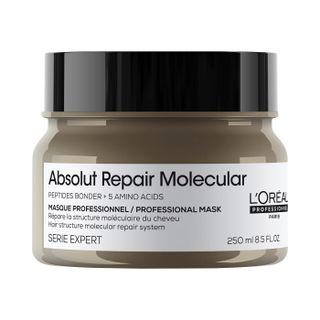 L'Oreal Professionnel Absolut Repair Molecular Hair Mask