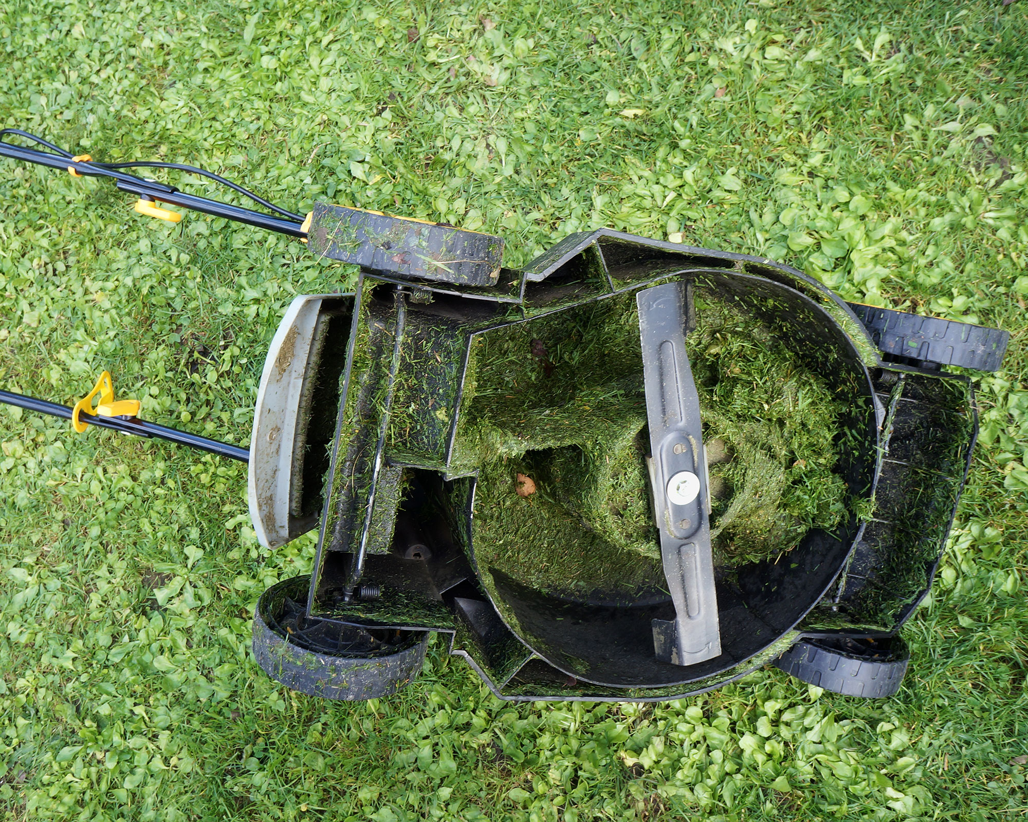 Why mowing after heavy rain could ruin your lawn mower | Gardeningetc