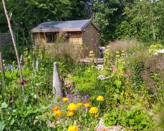 wildlife friendly eco house garden with pollinator friendly plants