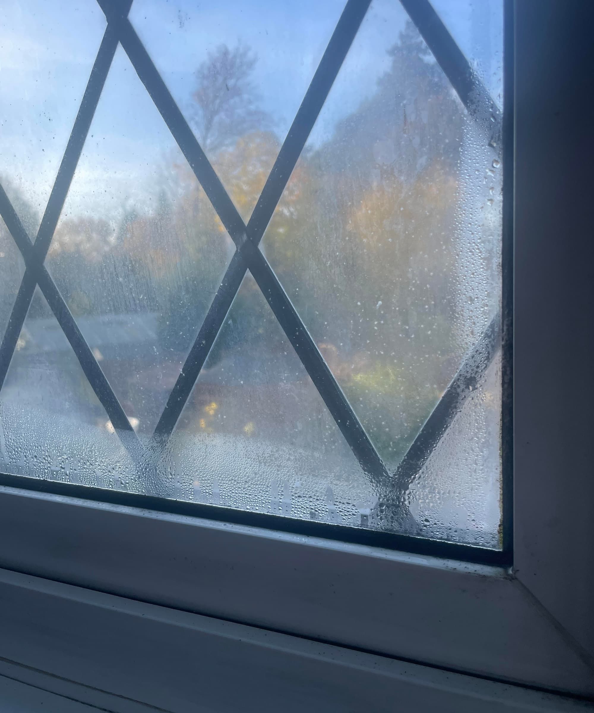 A close up of a window with condensation