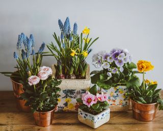 an assortment of plant pots, some painted