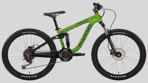 Kona Stinky 24