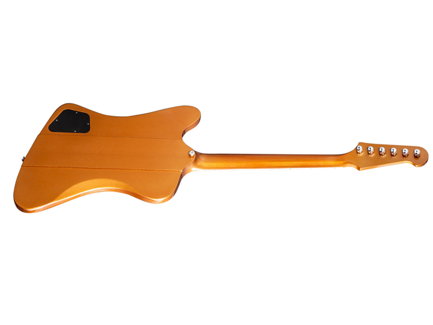 Skunk Baxter Firebird: back