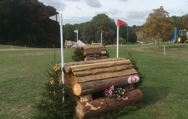 Blenheim Fences 2018