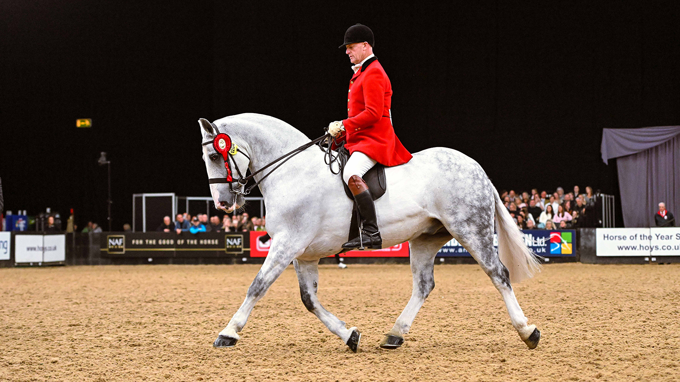 TAYLORS-HERO_HOYS_PN24_173629.jpg
