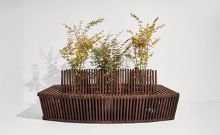 Plants in a wooden bench planter