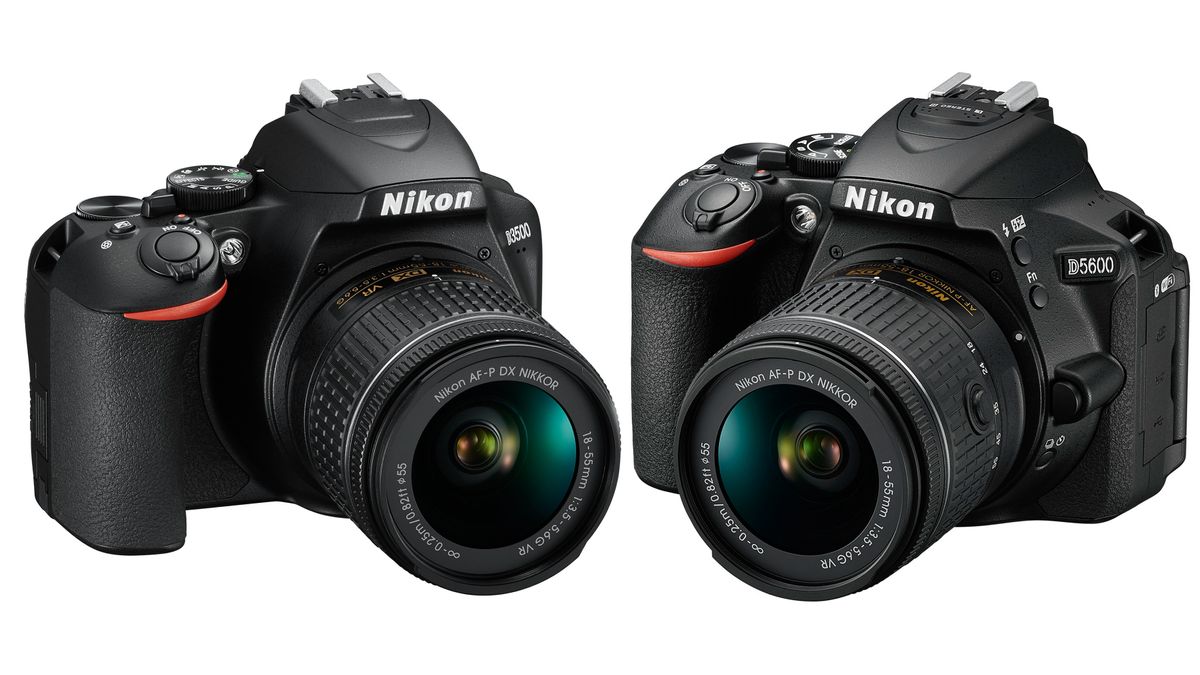 Nikon D3500 vs Nikon D5300 Detailed Comparison