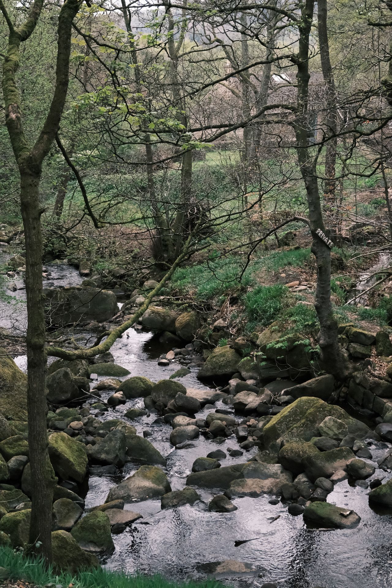A photo taken on a Fujifilm GFX100RF medium format camera