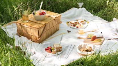 Some of our top picks from the magnolia july 4th sale featured at a magnolia picnic
