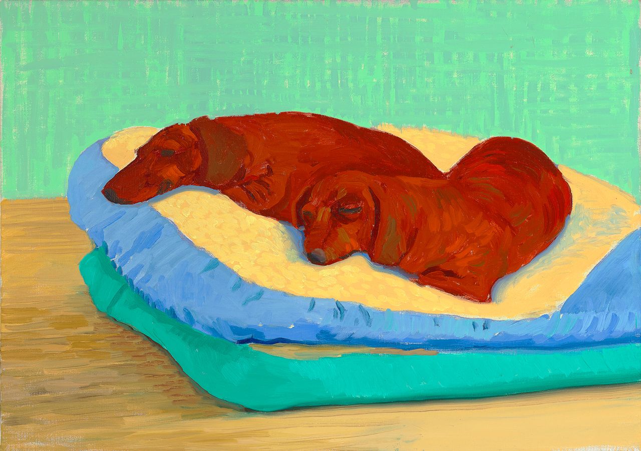 David Hockney, Dog Painting 19, 1995, portraits of dogs