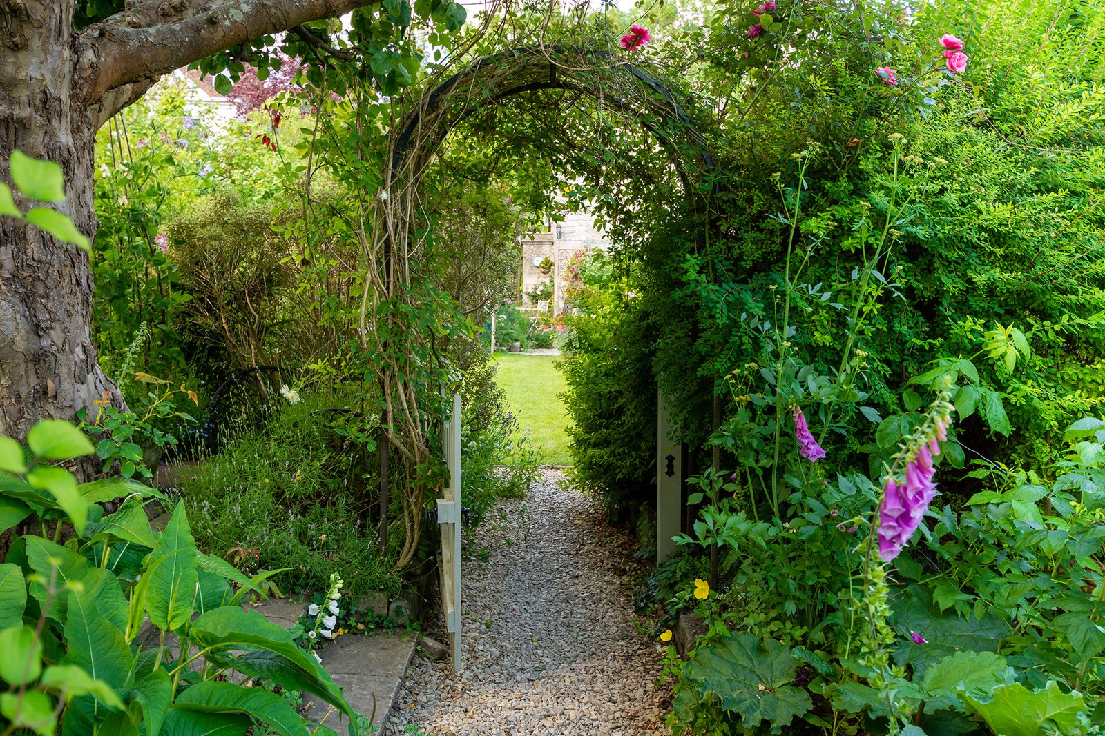 Secret garden in heart of Bath | Homes & Gardens