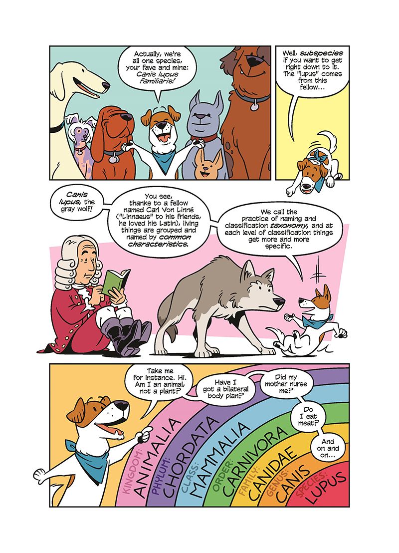 comic life downlaod comic life downlaod