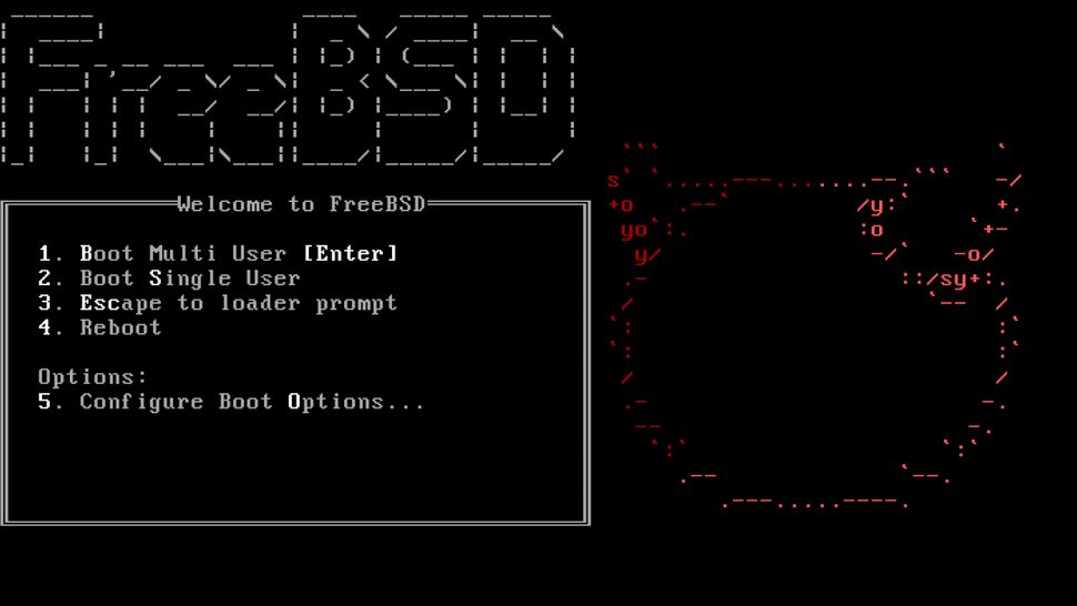 supporting-an-open-source-operating-system-a-q-a-with-the-freebsd