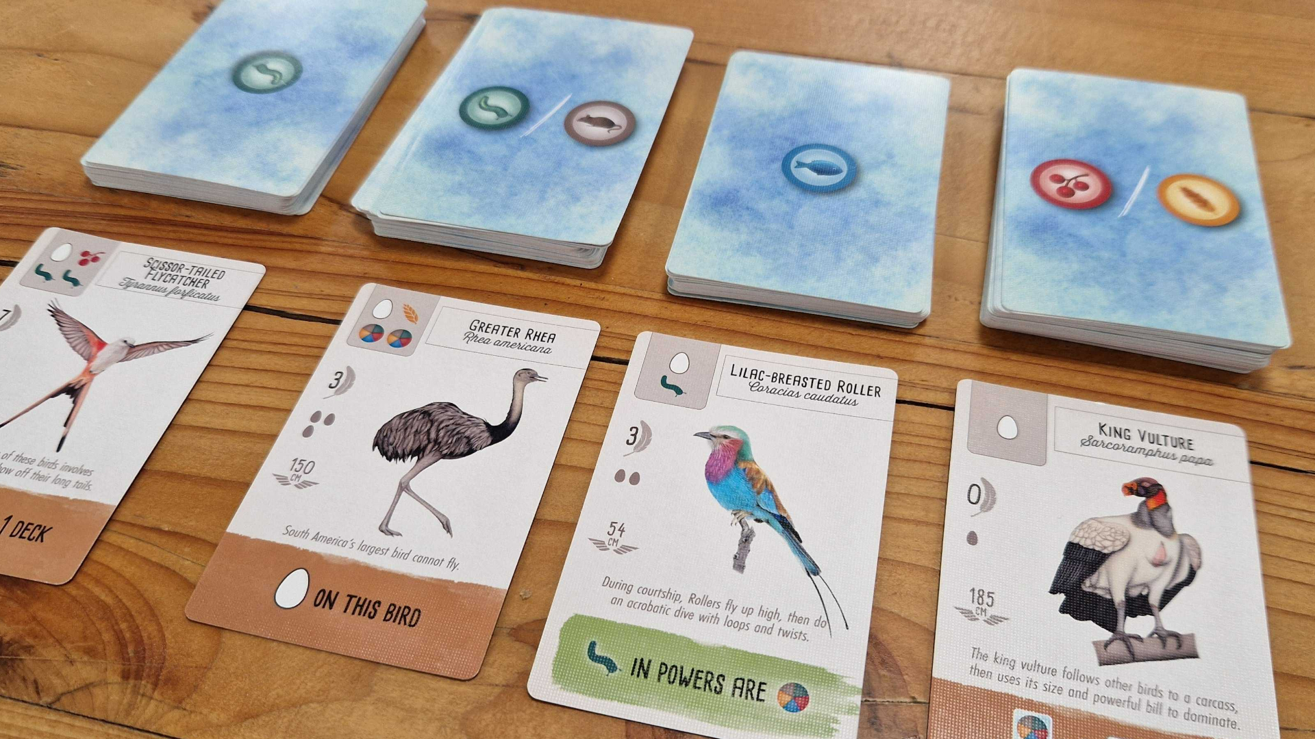 Four Wingspan Pocket bird cards on a wooden surface, beneath four face-down decks of cards