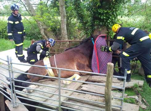 2 Sedated &amp;amp; Prep
