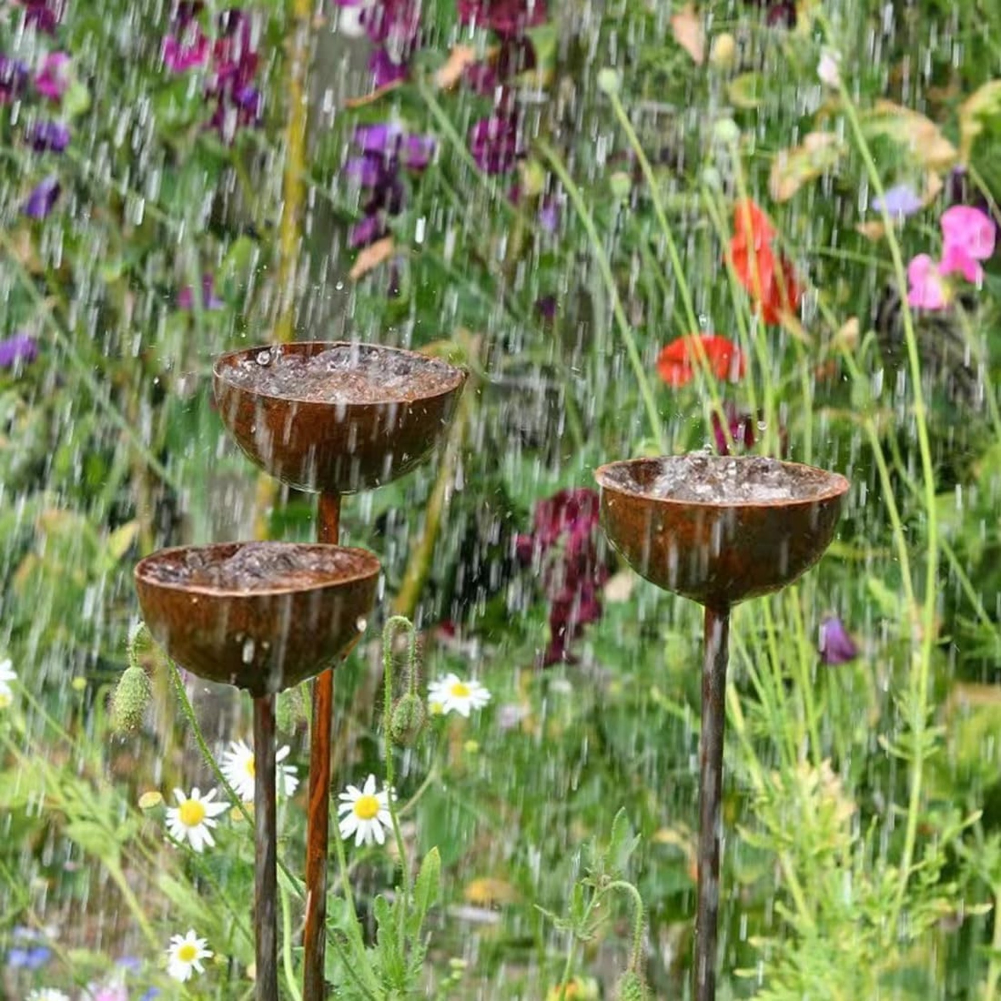 3 Rain Catchers in a wild garden in heavy rain