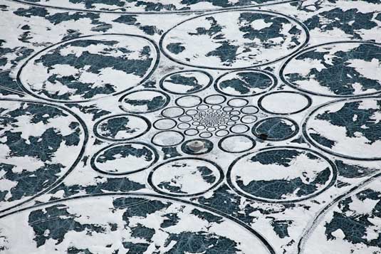 Sculptures that blend with nature