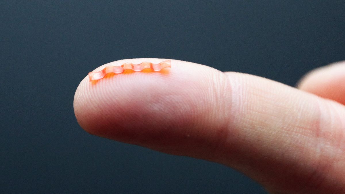 This tiny robotic caterpillar will never a butterfly TechRadar