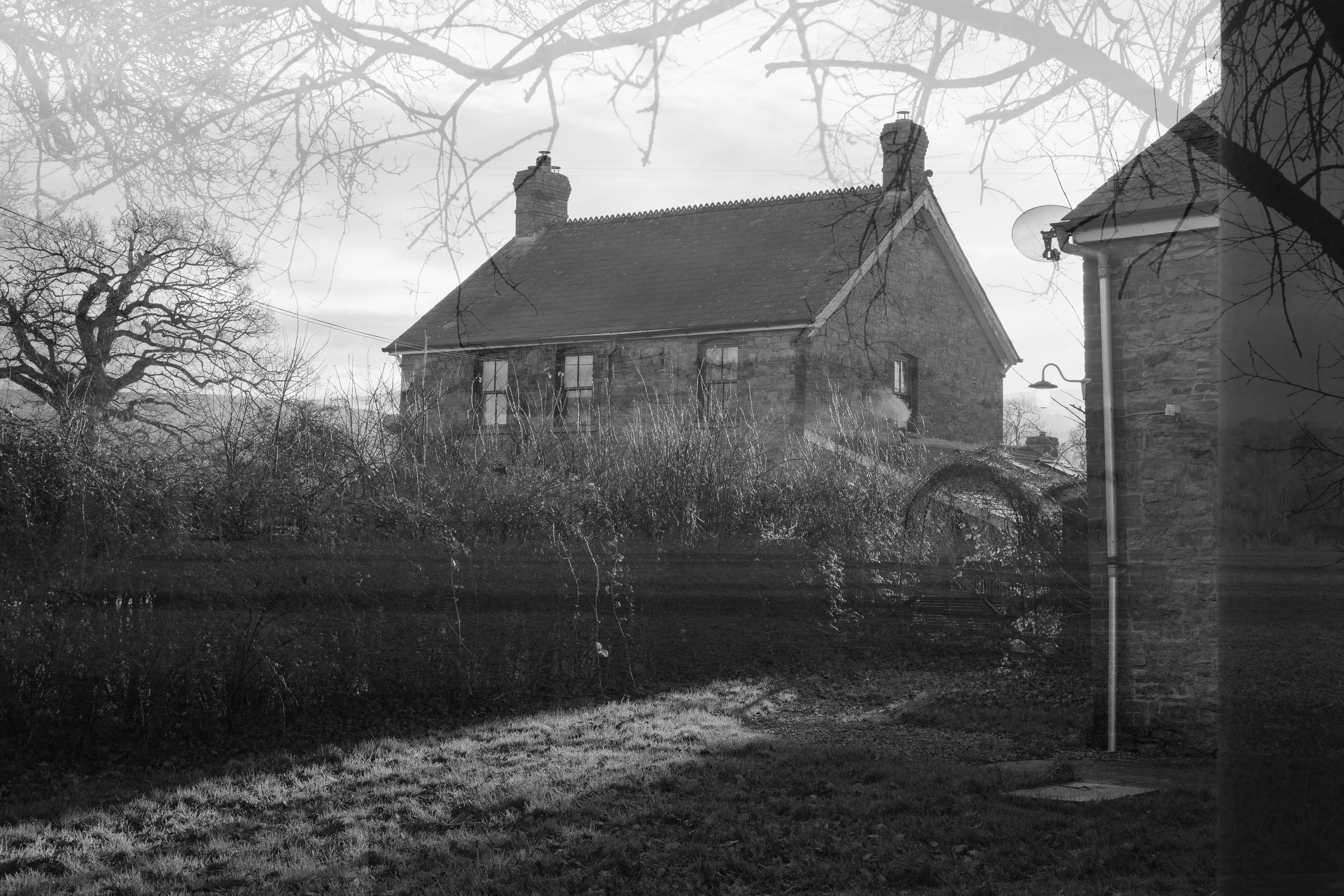 Черно-белая двойная экспозиция фермерского дома с силуэтом деревьев по краям кадра.
