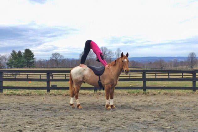 horseyoga6jpg-e1508497593612.jpeg