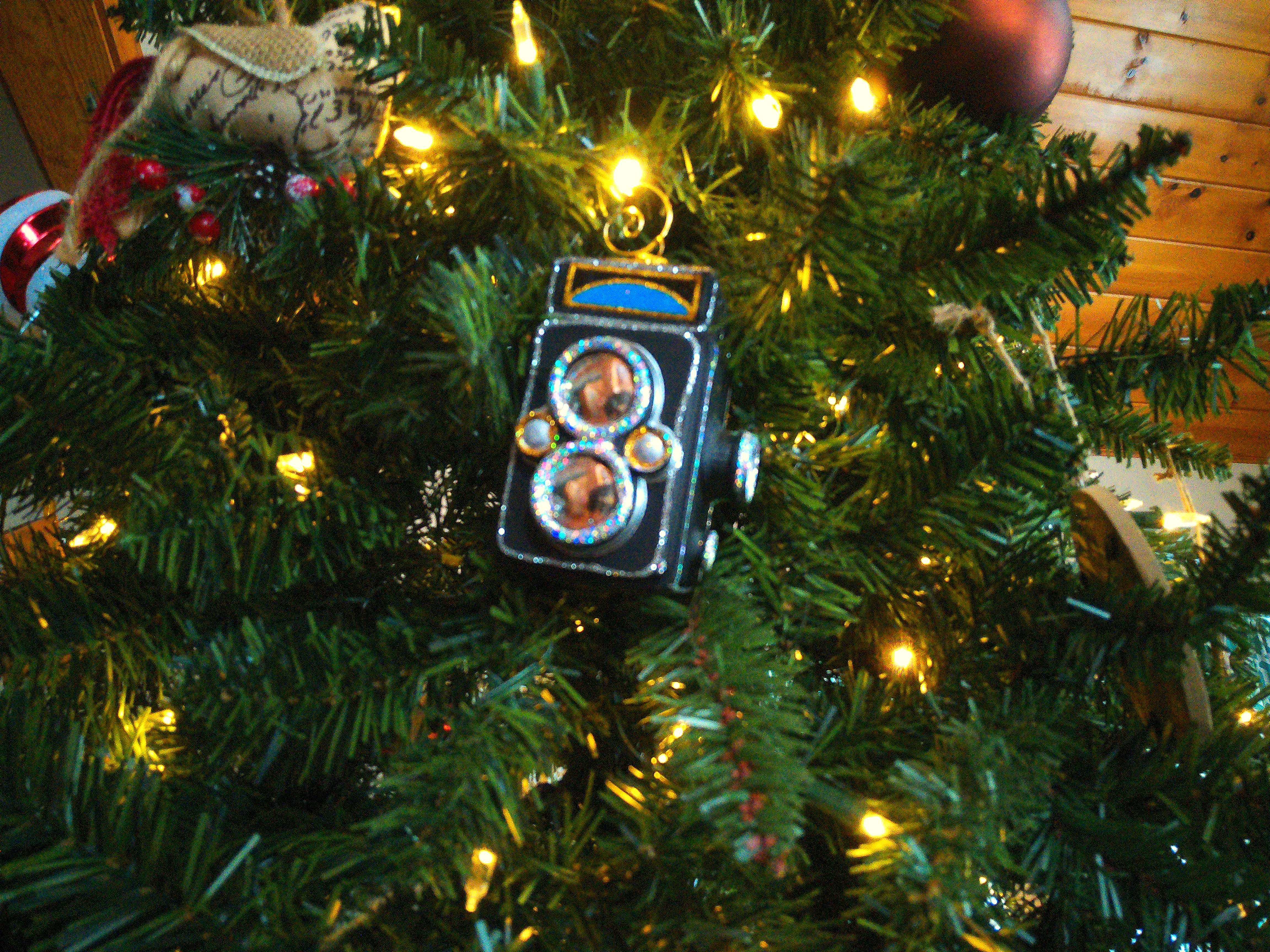 A sample image taken with the Camp Snap CS-Pro