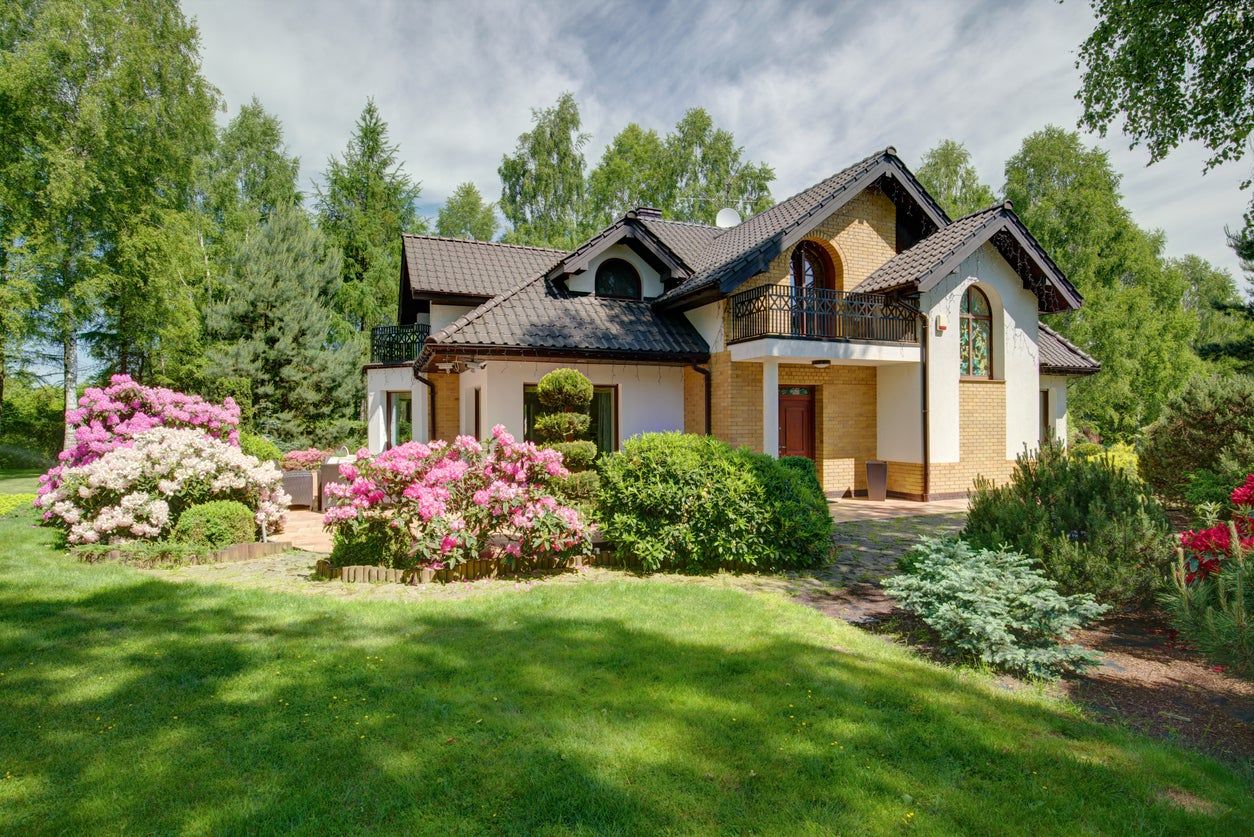 Front Yard Of A House Full With Shrubs And Bushes