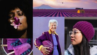 Selection of images highlighting velvet violet colour